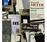 Krzysztof Meyer - Musica Strumentale - Instrumental Music - AA.VV. (Audio Cd)