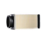 MEYLE 012 321 0025 Filtro aria motore Cartuccia filtro