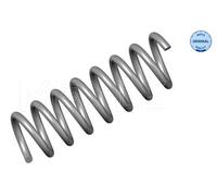 Meyle Molla di sospensione frontale 014 032 0197 per Mercedes-Benz C208 W210