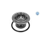 Meyle 028 292 0000 Termostato, Refrigerante