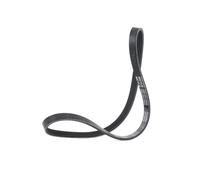 MEYLE 050 004 0800 Cinghia servizi