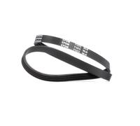 Meyle Cinghia trapezoidale multirighe 050 004 0845 Poly-V EPDM 2 pz per BMW DAIHATSU HONDA HYUNDAI