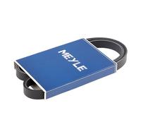 Cinghia trapezoidale multirighe EPDM (Etilene-Propilene-Diene-Caucciù) MEYLE