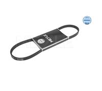 Meyle 050 004 0875 Cinghia Scanalata per Mazda Toyota Honda Renault Mitsubishi