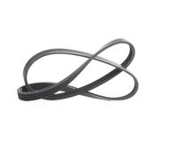 MEYLE 050 004 0920 Cinghia servizi per TOYOTA Yaris Schrägheck (P1) 920mm