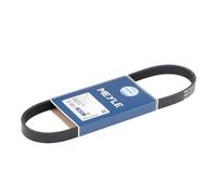 MEYLE cinghia Poly-V 0500050725 5 nervature 725 mm