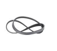 Meyle Cinghia trapezoidale multirighe 050 005 0890 EPDM (Etilene-Propilene-Diene-Caucciù)
