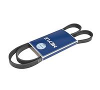 MEYLE 050 005 1355 Cinghia servizi Cinghia Poly-V Cinghia alternatore Cinghia dei servizi
