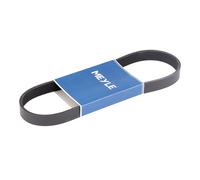 Meyle 050 006 0725 Cinghia Scanalata per Citroën Peugeot Fiat Nissan