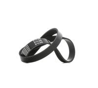 Meyle 050 006 0950 Cinghia Poly-V