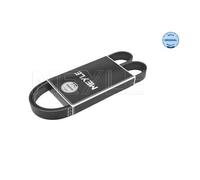 Meyle 050 006 0976 Cinghia Poly V Per MINI Seat VW Citroën Peugeot Volvo Ford