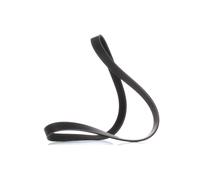 Cinghia Poly V Meyle 0500061020 Meyle-original: True To Oe. per Dodge Lada