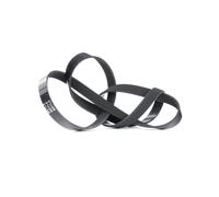 Cinghia Poly V Meyle 0500061660 Meyle-original: True To Oe. per Audi Bmw Citroën