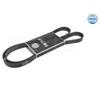 MEYLE 050 006 1670 Cinghia Poly-V per CITROËN,FIAT,FORD,HYUNDAI,PEUGEOT