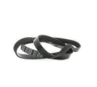 Meyle V-Ribbed Belt 500061735