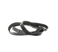 Meyle V-Ribbed Belt 500061735