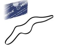 MEYLE Cinghia Poly-V per MERCEDES-BENZ VW 050 006 2060
