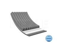MEYLE Cinghia Poly-V compatibile con DAF MERCEDES-BENZ SCANIA VOLVO 050 008 2050