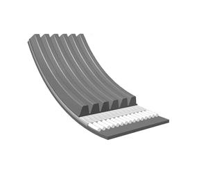 Meyle 0500061605 Cinghia Poly-V