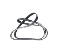 Cinghia Poly V Meyle 0500061836 Meyle-original: True To Oe. per Alfa Romeo Bmw