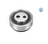 Meyle 100 009 0015 Galoppino Cinghia Scanalata per VW Passat Skoda Superb I Audi
