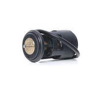 MEYLE 100 121 1025 Termostato motore per VW Golf IV Hatchback (1J1) 87°C