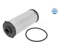 Filtro Idraulico Cambio Automatico Meyle 100 136 1011 per Audi Seat Skoda VW