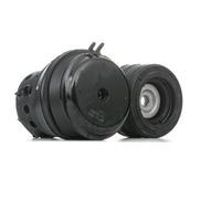 MEYLE 100 199 0012 Supporto motore