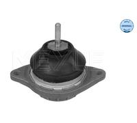 MEYLE 100 199 0017 Sospensione, Motore per AUDI