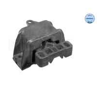 Meyle 100 199 0053 Sospensione, Motore