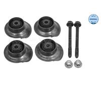 MEYLE 100 501 0014/S Supporto, Corpo assiale per VW