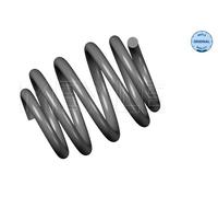 MEYLE Molla autotelaio per AUDI 100 739 0003