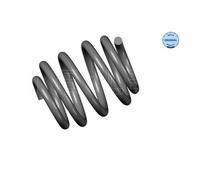 MEYLE Molla autotelaio per AUDI 100 739 0003