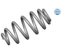 MEYLE Molla autotelaio per AUDI 100 739 0009