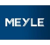MEYLE Molla autotelaio compatibile con AUDI 100 739 0016
