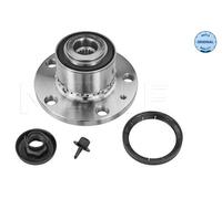 Meyle Wheel Hub 1007520004