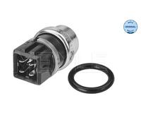 MEYLE 100 919 0023 Sensore, Temperatura Del Refrigerante Per FORD, SEAT, VW