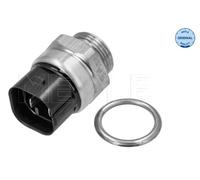 Meyle 100 959 0018 Termocontatto, Ventola radiatore