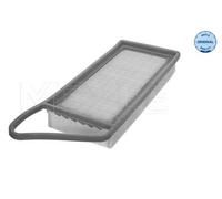 MEYLE 11-12 321 0009 Filtro aria motore Cartuccia filtro