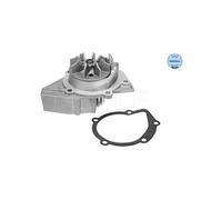 Meyle Pompa acqua 11-13 220 0001 per Citroën, Fiat, Peugeot, Toyota, Suzuki, Lancia