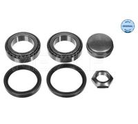 Meyle Kit Cuscin Ruota Ant Fi Ducato 80X50X22 11-140335029/S