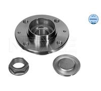 MEYLE 11-14 750 0015 Mozzo ruota per CITROËN,PEUGEOT