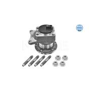 Meyle Mozzo ruota 11-14 752 0001 posteriore per Jumpy Scudo Expert ProAce Citroën Fiat
