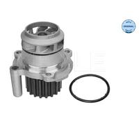Meyle Pompa acqua 113 012 0050 per Skoda, Audi, VW, Seat