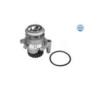 MEYLE Pompa dell’acqua, raffreddamento motore compatibile con SEAT SKODA VW