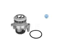 MEYLE 113 220 0021 Pompa acqua per