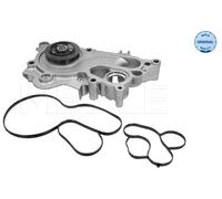 MEYLE Pompa dell’acqua, raffreddamento motore compatibile con AUDI SEAT SKODA