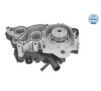 MEYLE 113 220 0035 Pompa dell’acqua, raffreddamento motore per AUDI,SEAT,SKODA,V