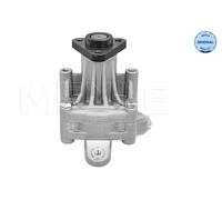 Originale MEYLE Pompa Idraulica Sterzo 114 631 0047 per Audi