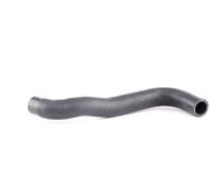 Meyle Tubo radiatore 119 121 0042 EPDM per VW Transporter IV (70B,70C,7DB,7DK,70J,70K,7DC,7DJ)